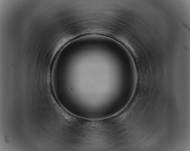 X0000093231040200709261648