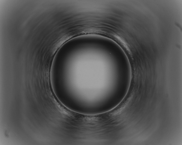 X0000093231041200709261648