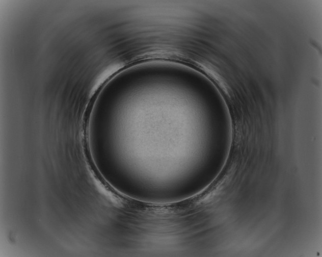 X0000093231042200709261648