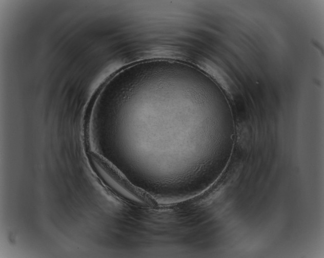 X0000093231043200709261648