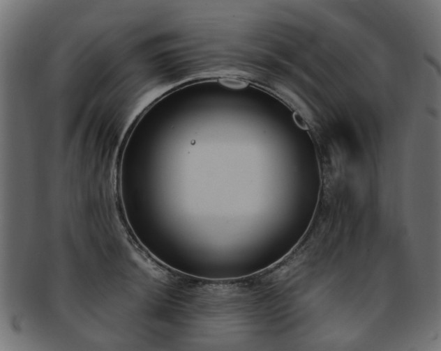 X0000093231044200709261648