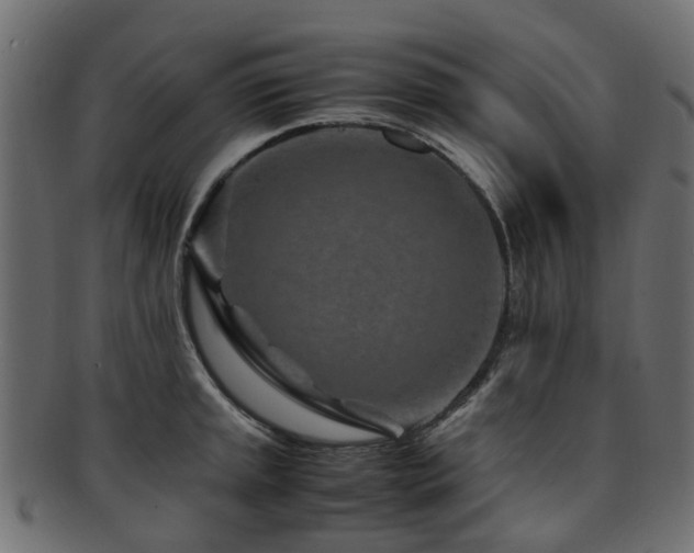 X0000093231045200709261648