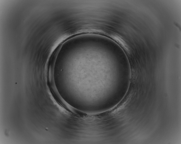 X0000093231046200709261648