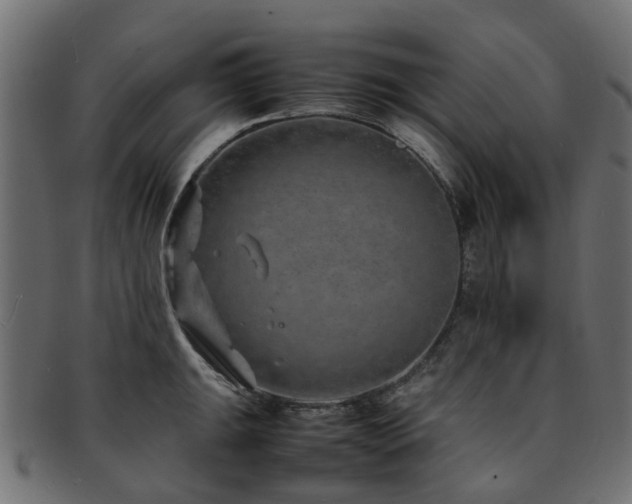 X0000093231047200709261648