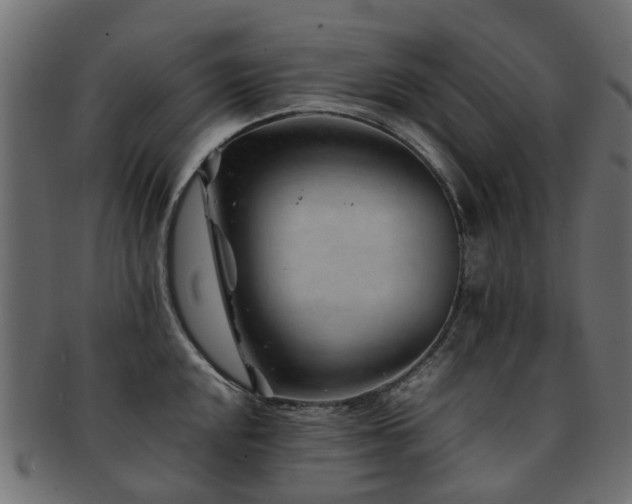 X0000093231048200709261648