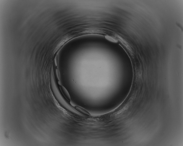 X0000093231049200709261648