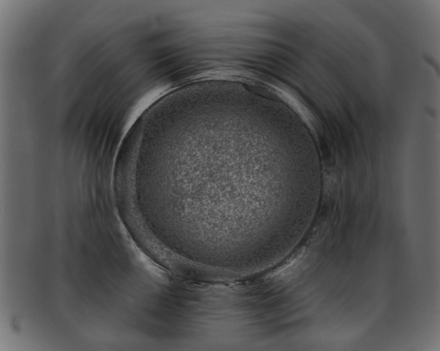 X0000093231050200709261648