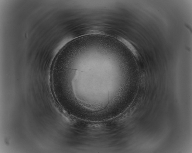 X0000093231051200709261648