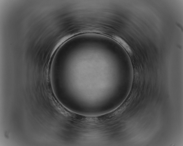 X0000093231052200709261648
