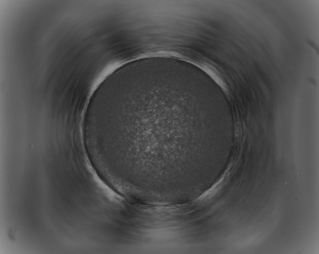 X0000093231054200709261648
