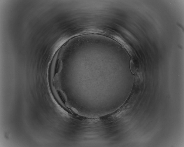 X0000093231055200709261648