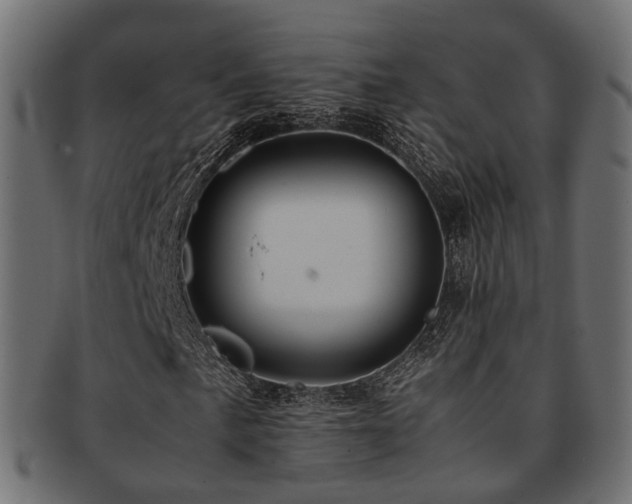 X0000093231057200709261647