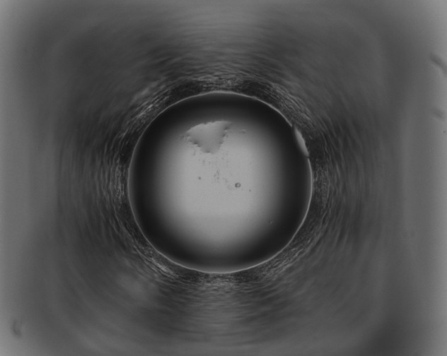 X0000093231058200709261647