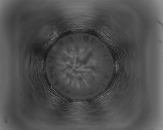 X0000093231059200709261647