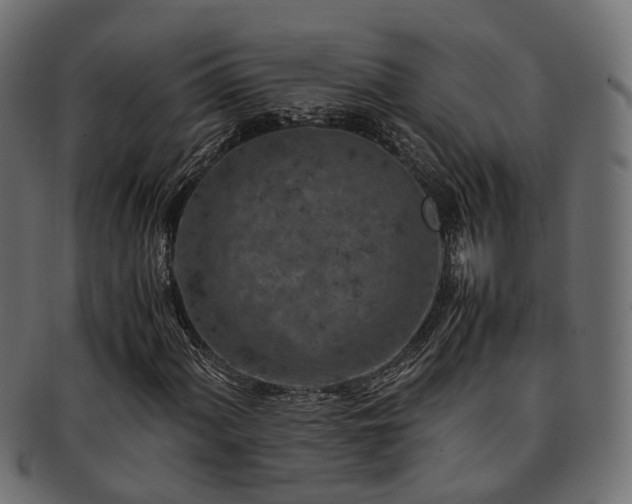 X0000093231060200709261647