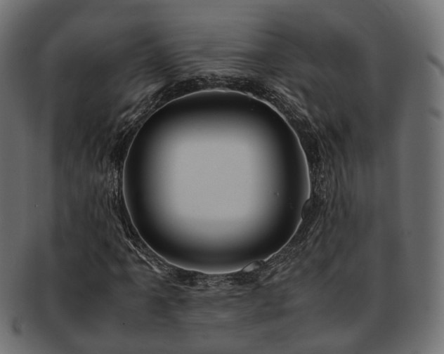 X0000093231061200709261647