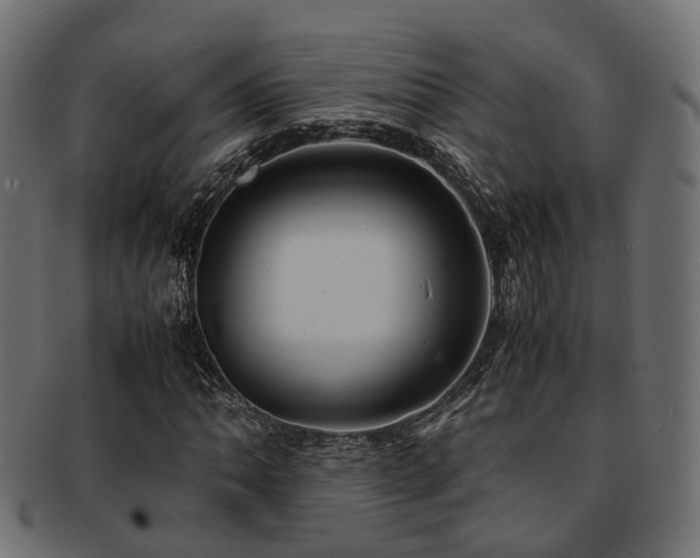 X0000093231062200709261647