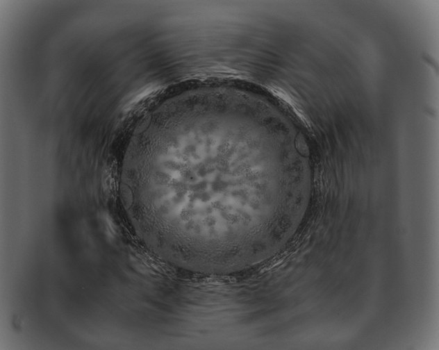 X0000093231063200709261647