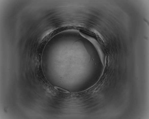 X0000093231064200709261647