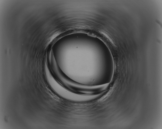 X0000093231065200709261647