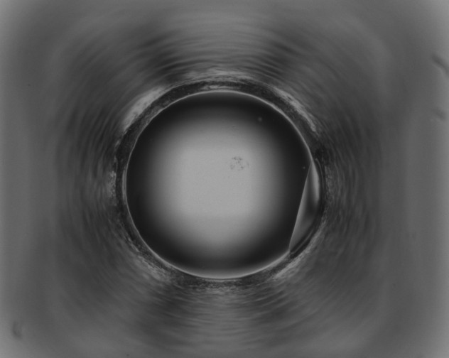 X0000093231066200709261647