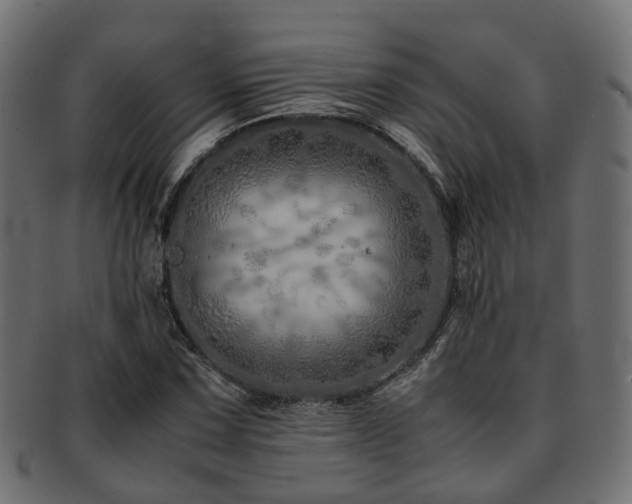 X0000093231067200709261647