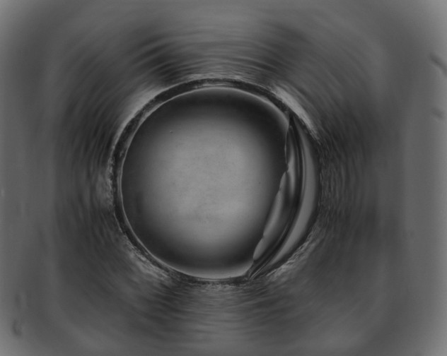 X0000093231068200709261647