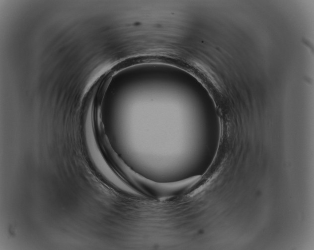 X0000093231069200709261647
