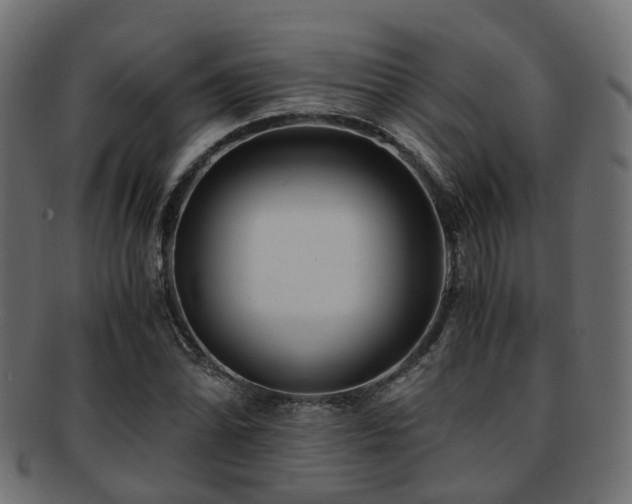 X0000093231070200709261647