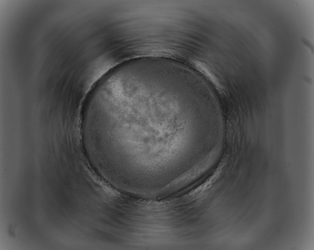 X0000093231071200709261647
