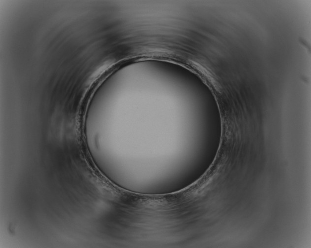 X0000093231074200709261647