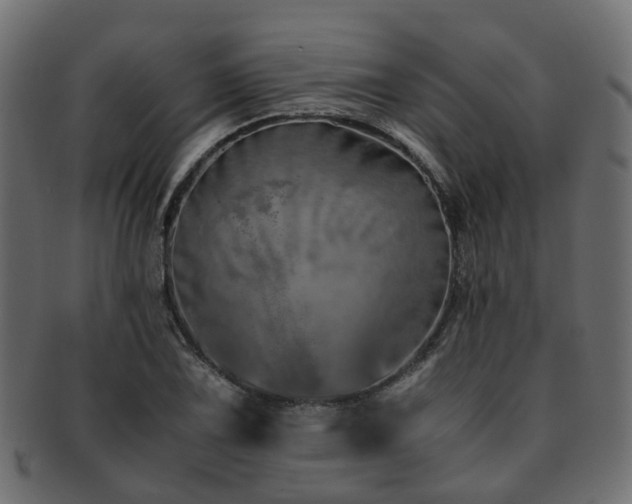 X0000093231075200709261647
