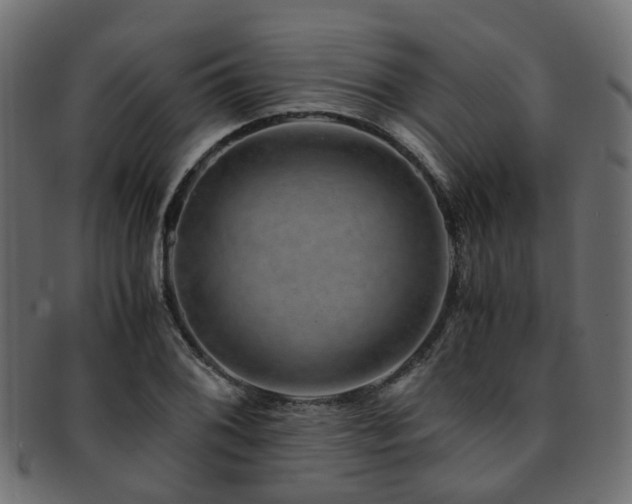 X0000093231076200709261647