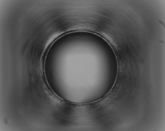 X0000093231078200709261647