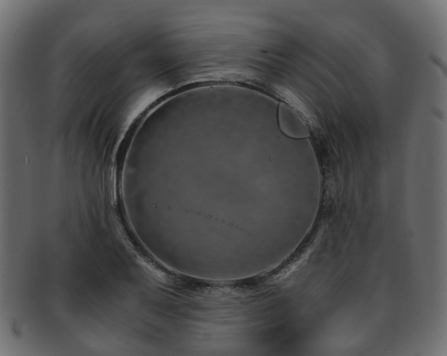 X0000093231079200709261647