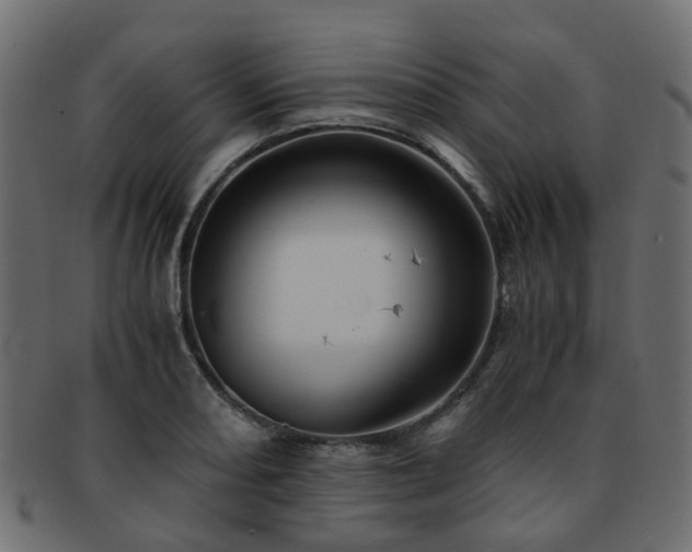 X0000093231082200709261647