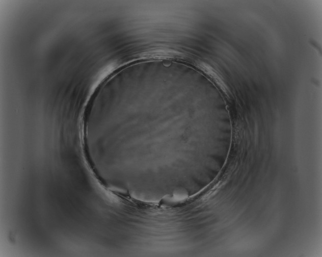 X0000093231083200709261647