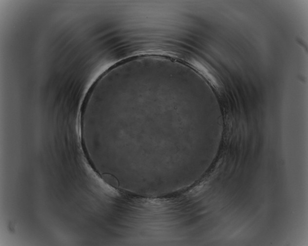 X0000093231084200709261647