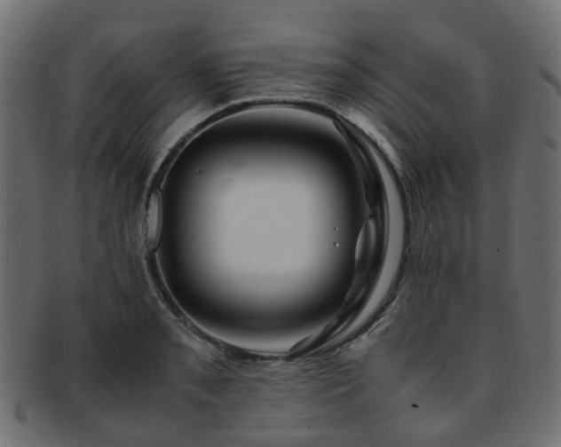 X0000093231085200709261647
