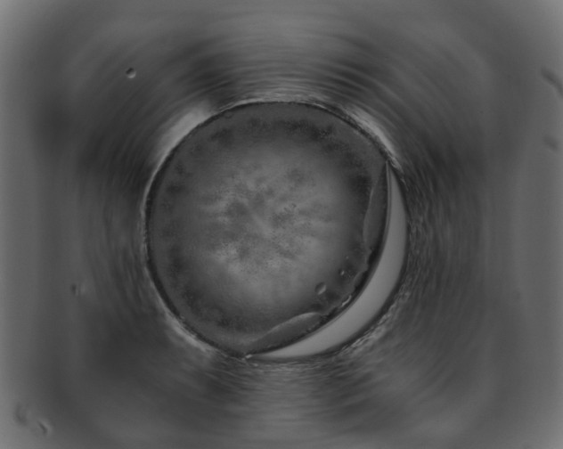 X0000093231087200709261647