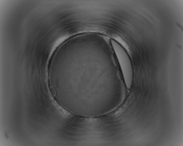 X0000093231088200709261647