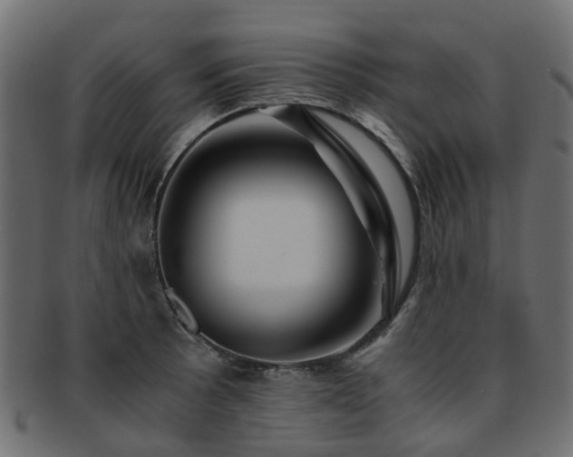 X0000093231089200709261647