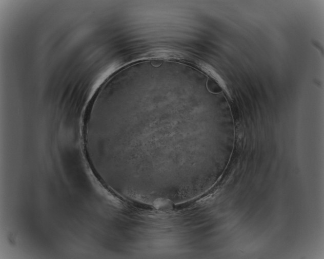 X0000093231091200709261647