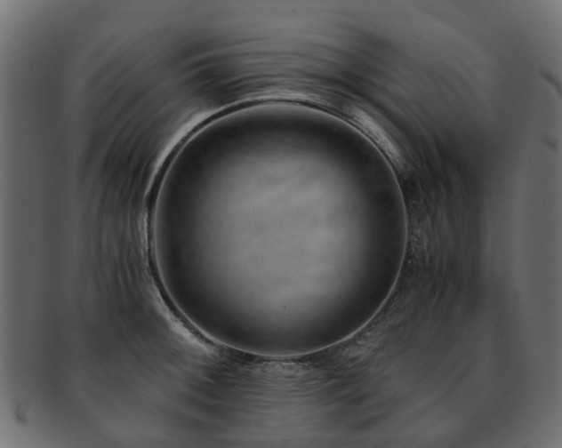 X0000093231092200709261647