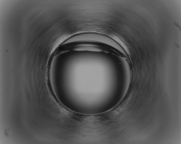 X0000093231093200709261647