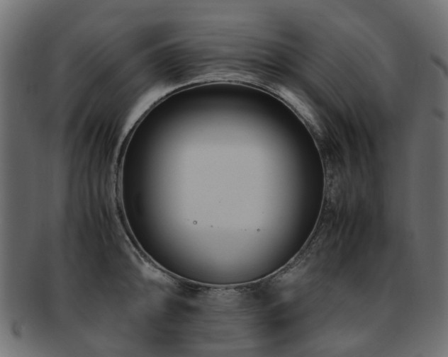 X0000093231094200709261647