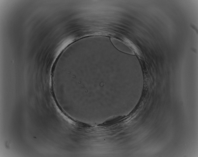 X0000093231095200709261647