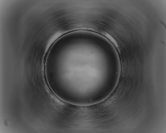 X0000093231096200709261647