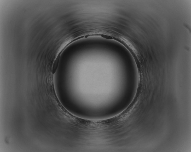 X0000093231097200709261647