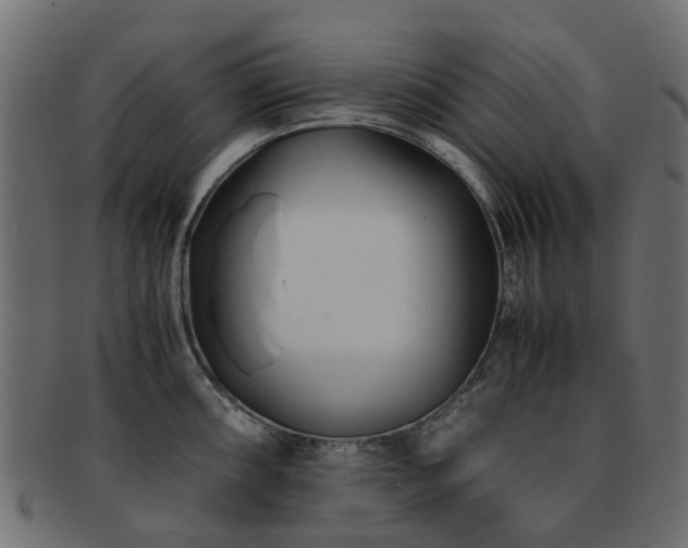 X0000093231098200709261647